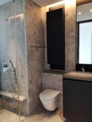 Skysuites@Anson (D2), Apartment #408811781